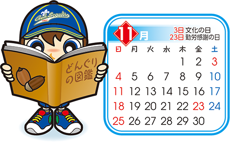 カブ　11月