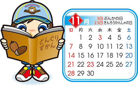 ビーバー　11月