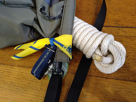 ミニチュアネッカチーフ