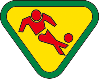 チームスポーツ選手