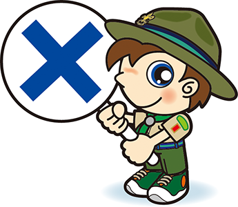 ボーイスカウト　バツ