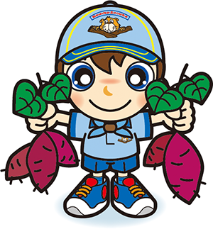 ビーバースカウト　芋掘り