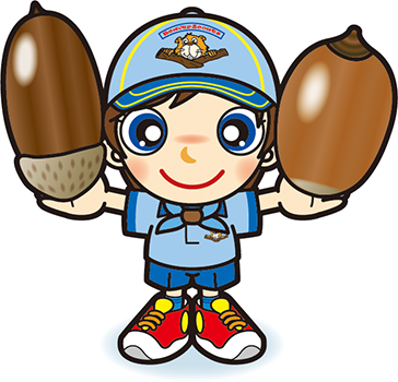 ドングリビーバー