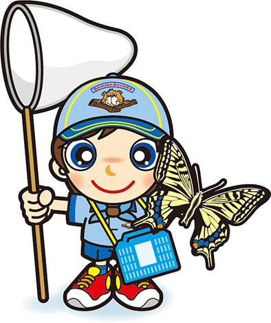 昆虫採集　ビーバー