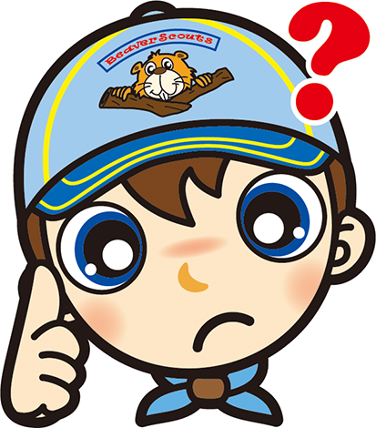 ビーバー　なぜだろう