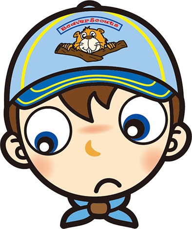 好奇心ビーバー