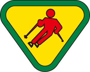 4-4　スキー選手