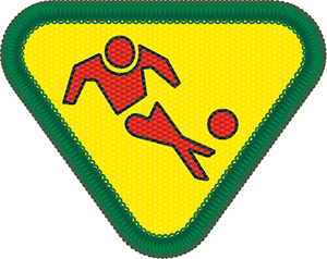 チャレンジ章　チームスポーツ選手