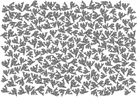 シャチ・カウントゲーム