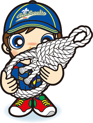 えび結び　カブ