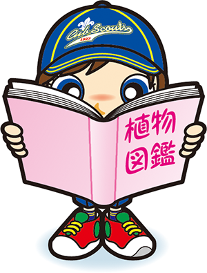 植物図鑑