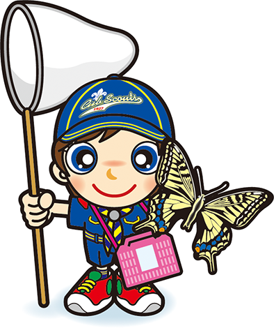 昆虫採集　カブ