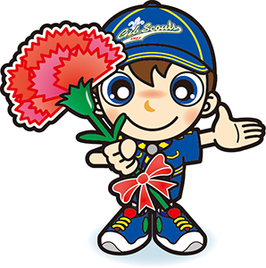 カーネーション　カブ