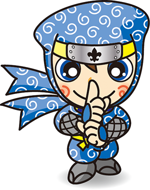 カブスカウト　忍者