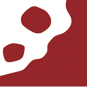 災害種別　崖崩れ