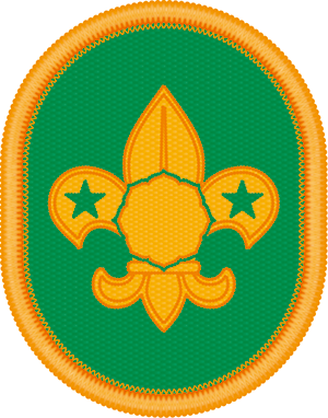 初級スカウト章