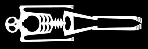 人体骨格完成図