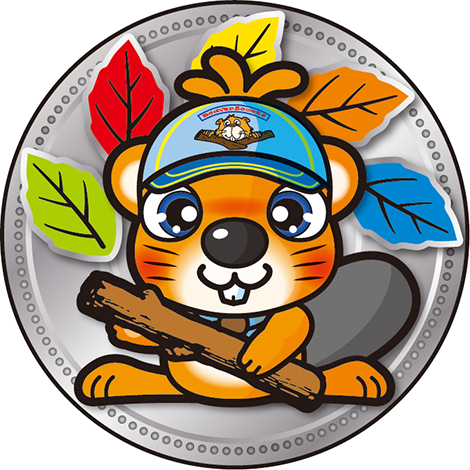 スーパービーバー銀メダル