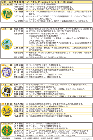 ターゲットバッジC群