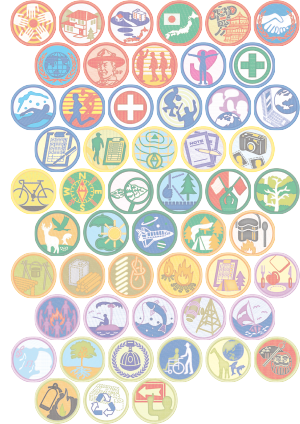 ターゲットバッジ表紙