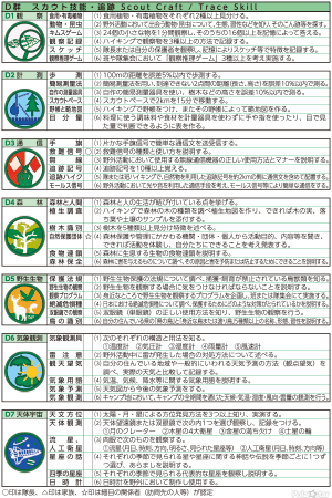 ターゲットバッジD群