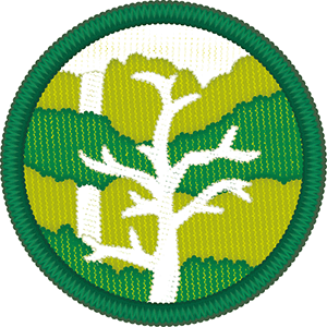 ターゲットバッジ　森林