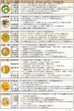 ターゲットバッジE群