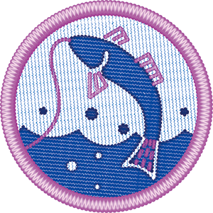 ターゲットバッジ　フィッシング