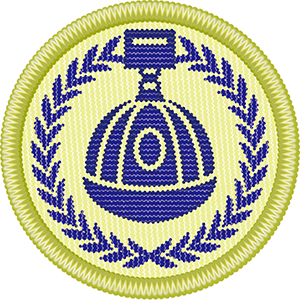 ターゲットバッジ　デンコーチ